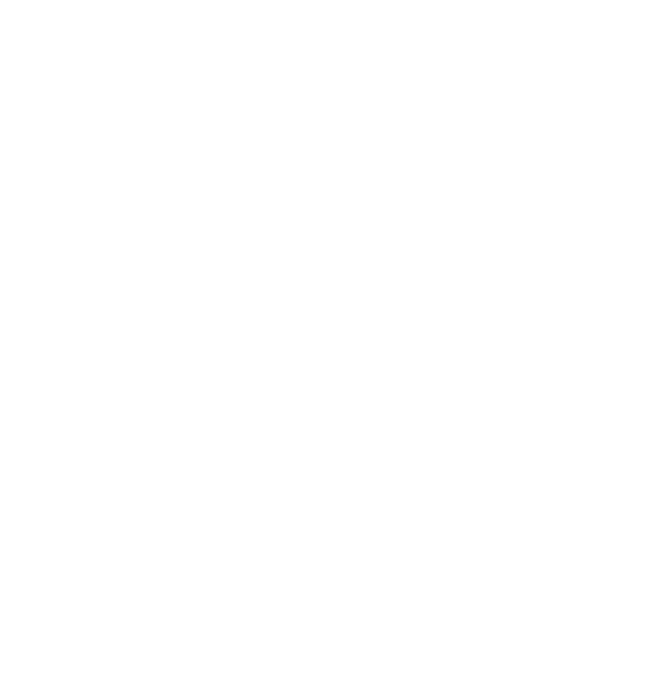 Paparazzi